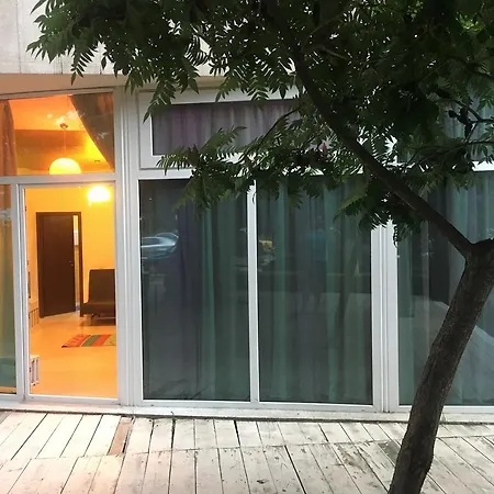 公寓 Apartament St Vlas 马马亚